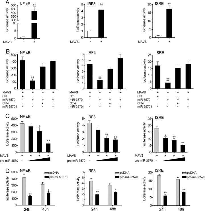 FIG 6