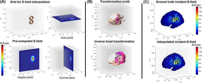 Fig. 3.