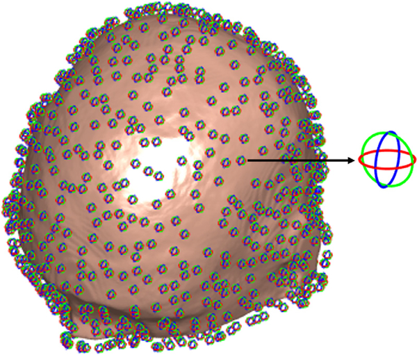 Fig. 5.