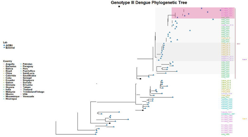 Figure 3: