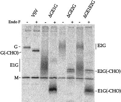 FIG. 5.