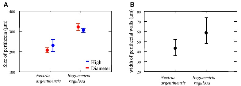 Fig. 12A–B.