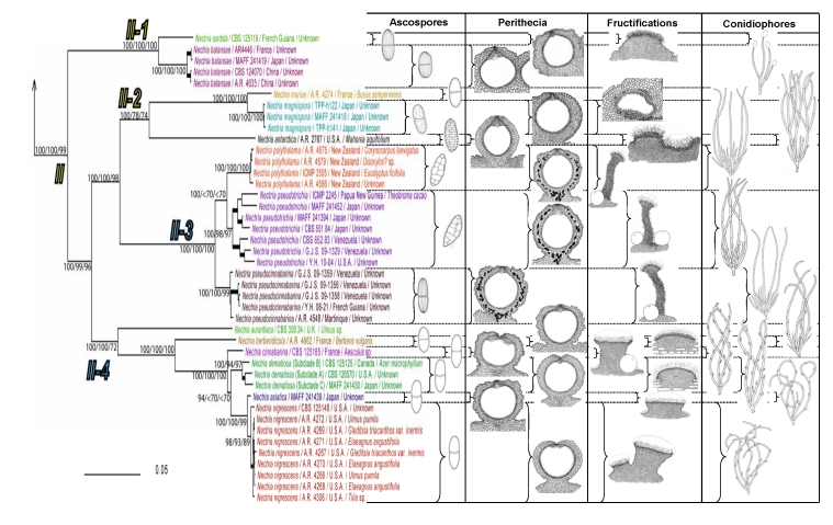 Fig. 3.