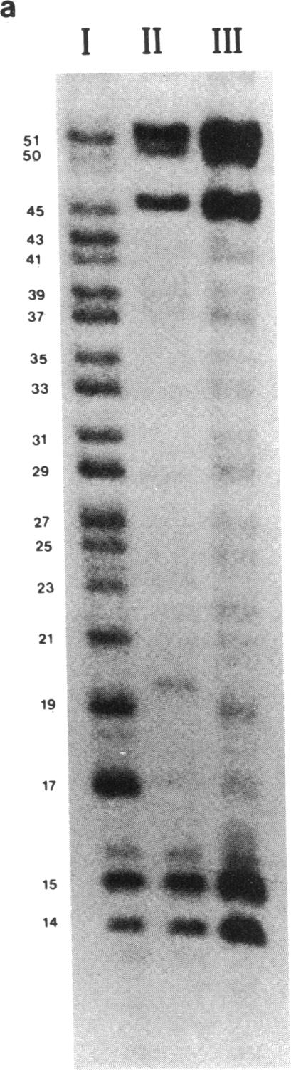 graphic file with name pnas00612-0016-a.jpg