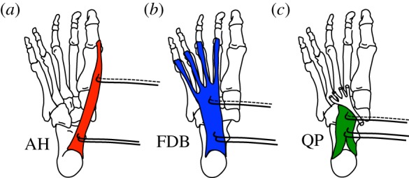 Figure 2.