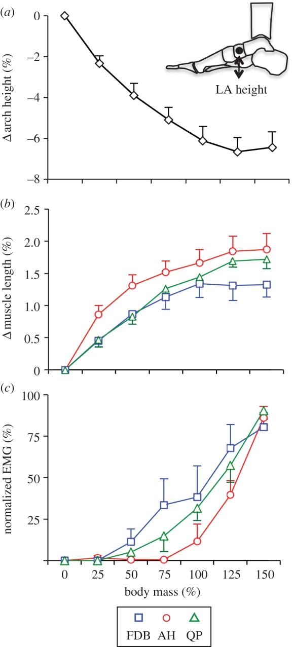 Figure 4.