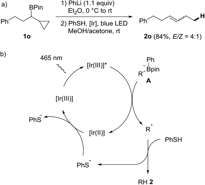 Scheme 3