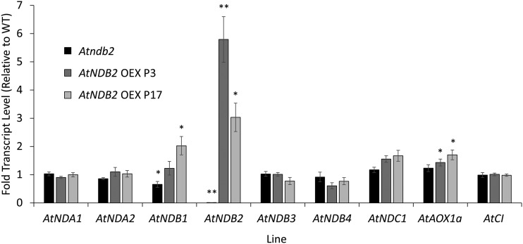 Figure 5.