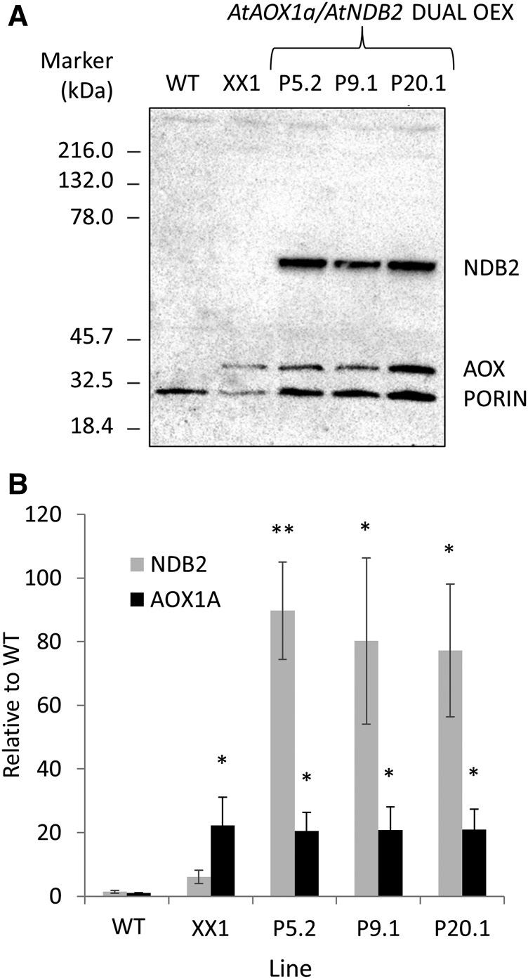 Figure 3.