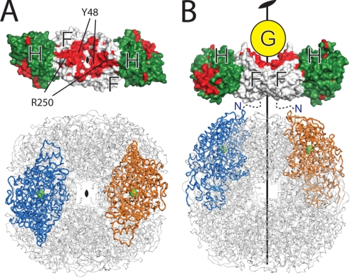 FIGURE 6.