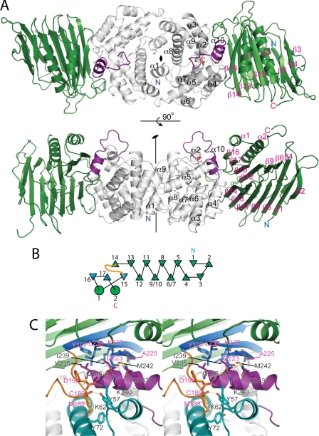 FIGURE 2.