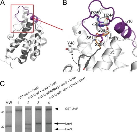 FIGURE 3.