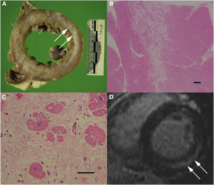 Figure 2