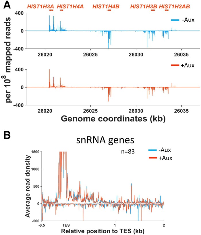 Figure 4.