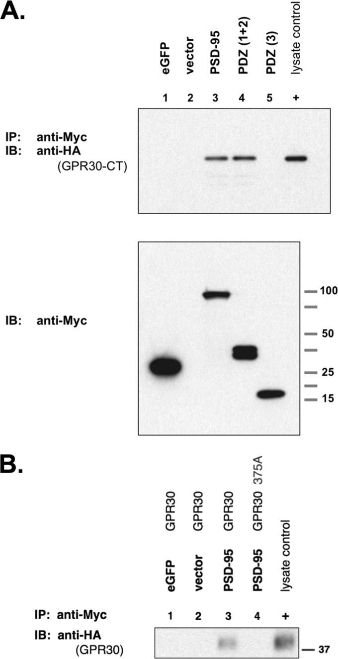 FIGURE 7.