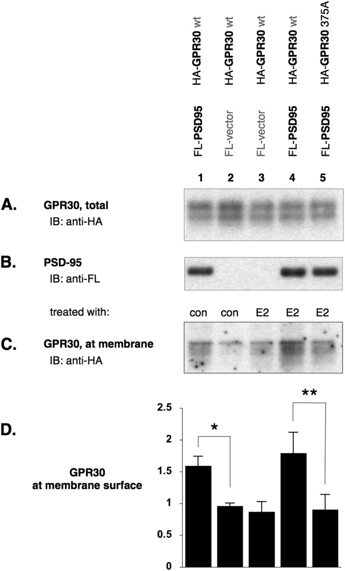 FIGURE 9.