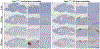 Extended Data Fig. 1 |