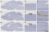 Fig. 4 |