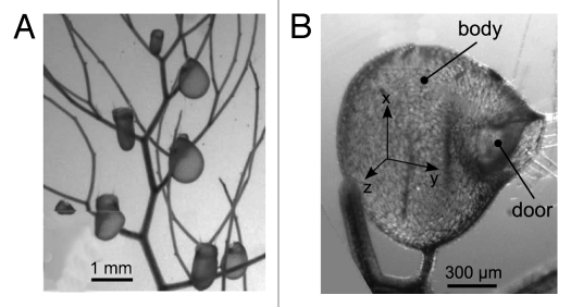 Figure 1.