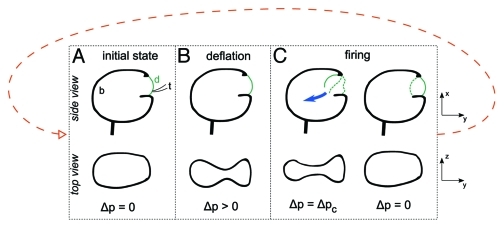 Figure 2.