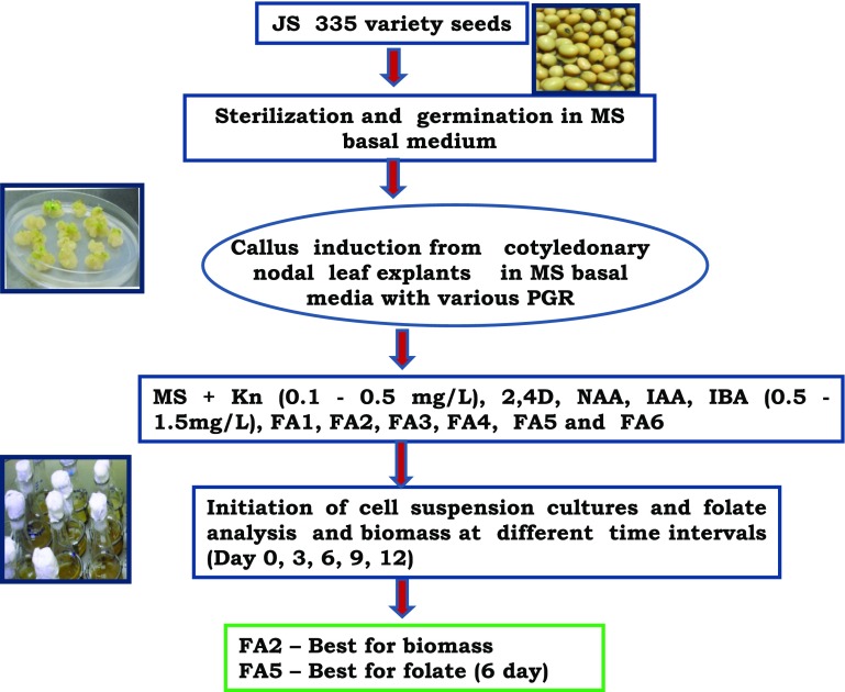 Fig. 3