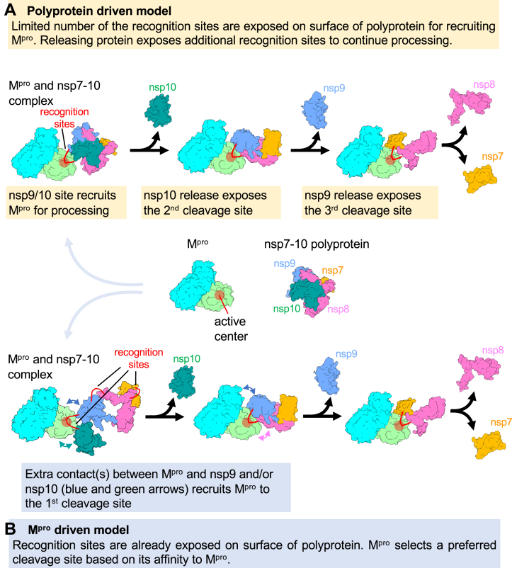 Figure 4