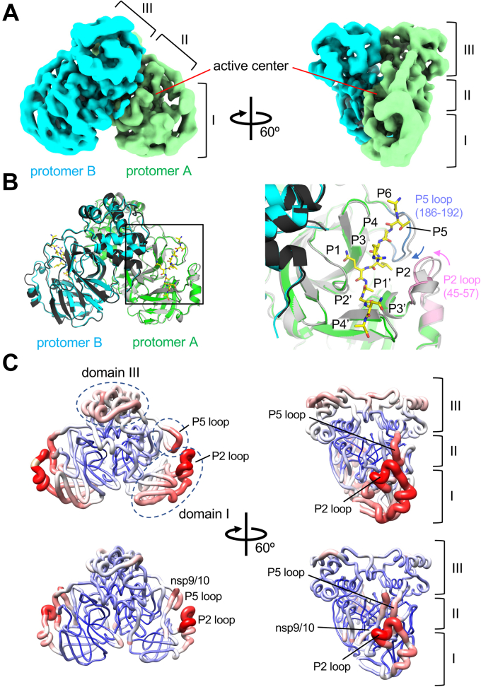 Figure 3