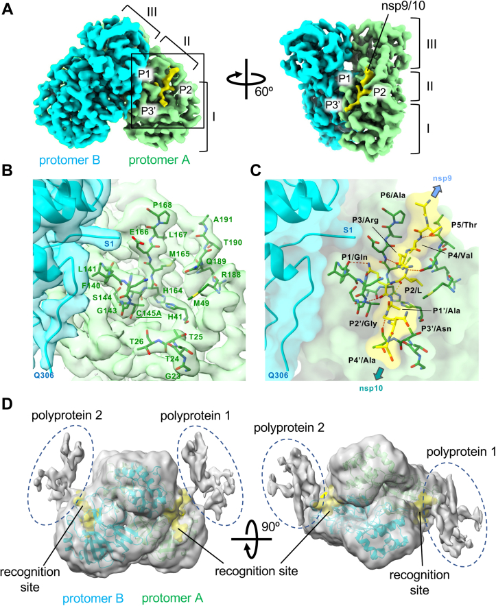 Figure 2