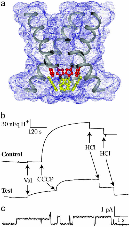 Fig. 1.