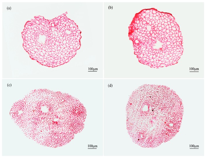 Figure 11