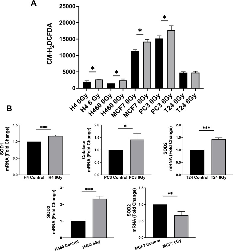 Figure 1—figure supplement 1.