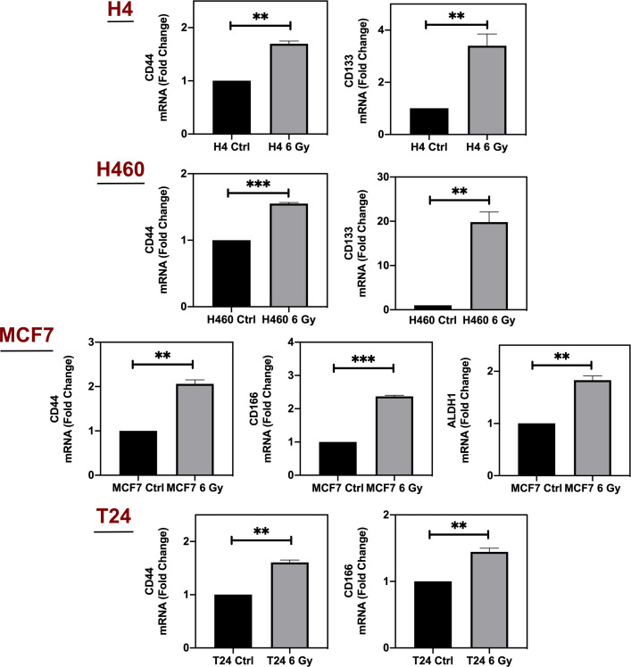 Figure 1—figure supplement 3.