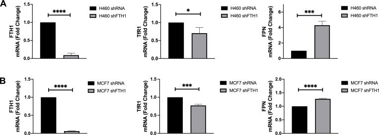 Figure 3—figure supplement 1.