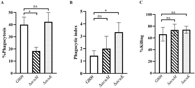 Fig 11