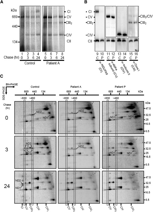 Figure 7