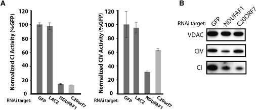 Figure 6