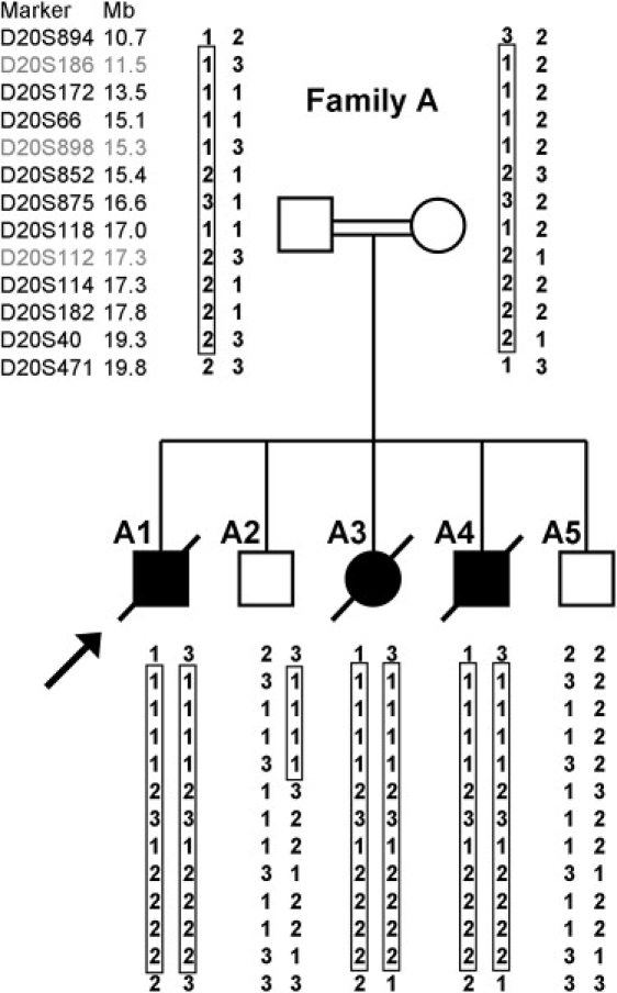 Figure 2