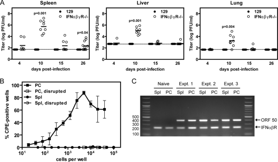 FIG. 6.