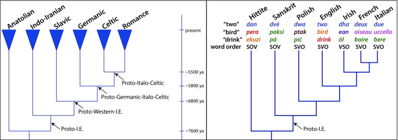 Fig. 1