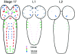 Fig. 7.