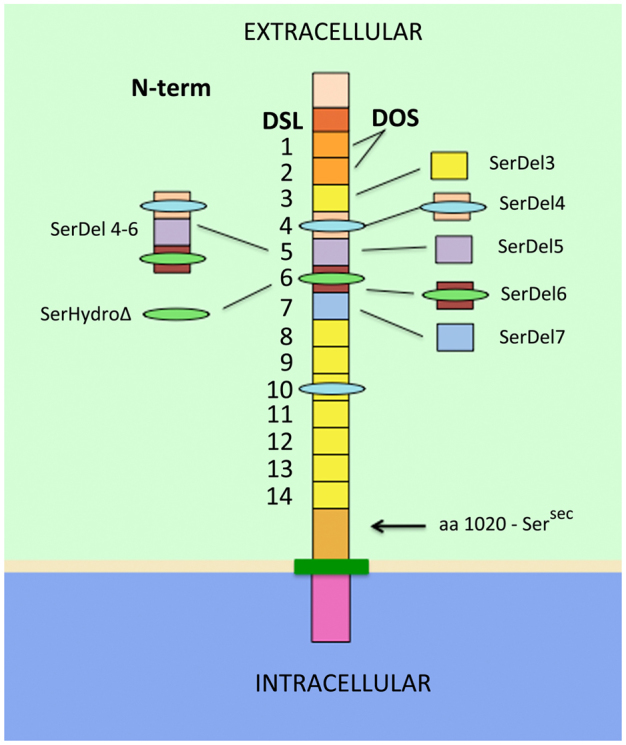 Fig. 1.