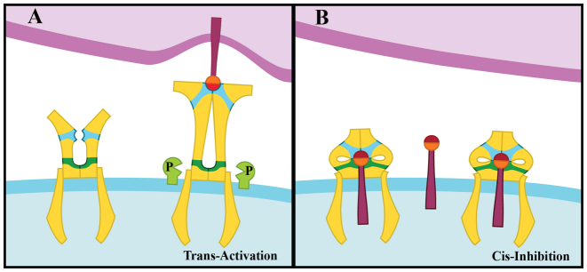 Fig. 7.