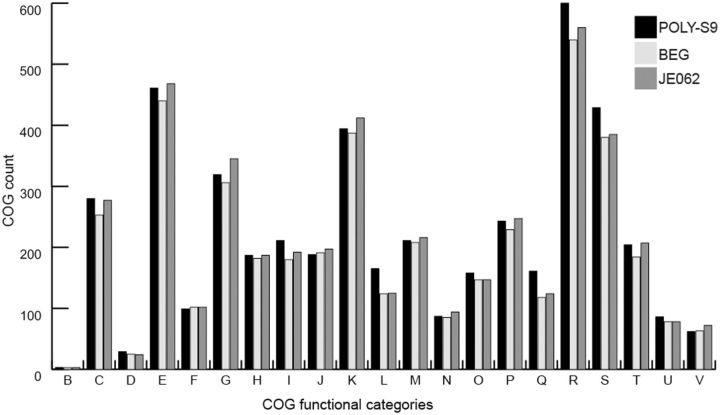 Fig. 2.—