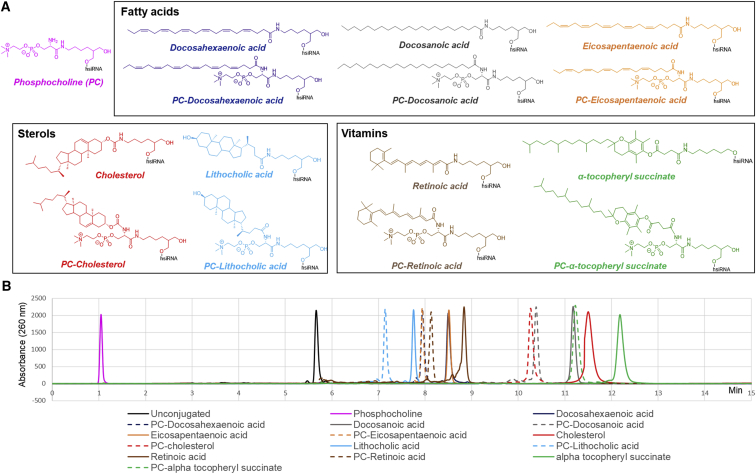 Figure 2