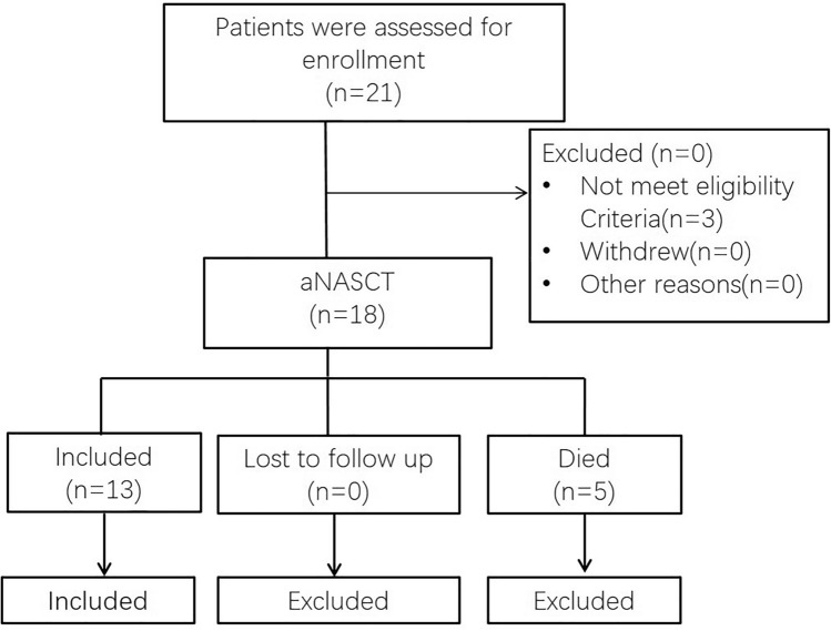 Fig. 2