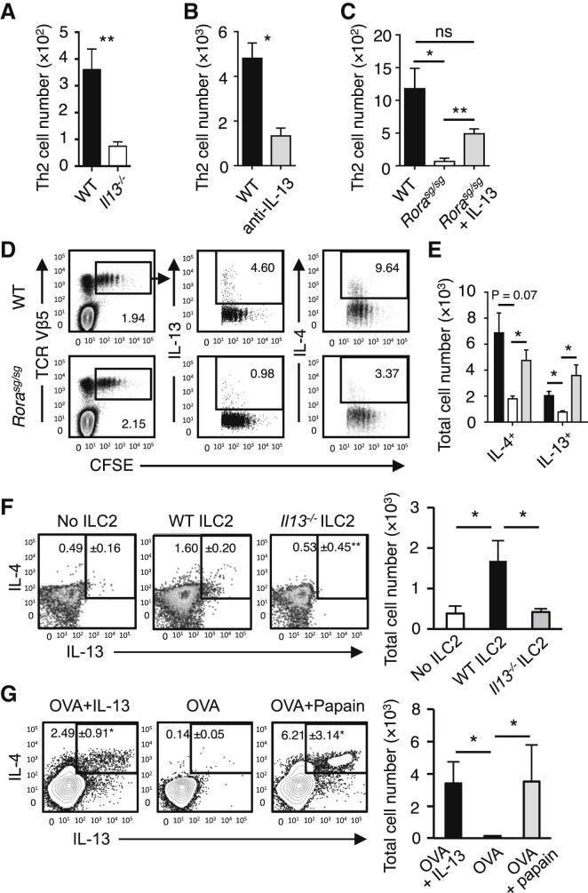 Figure 5