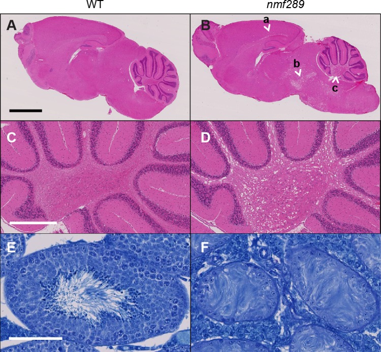 Fig 9