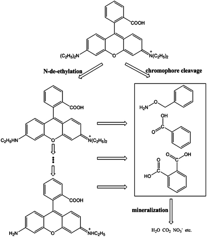 Fig. 8