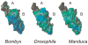 FIGURE 10