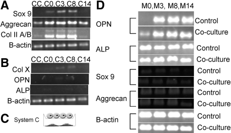 FIG. 7.